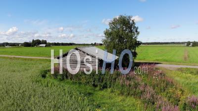 Barn House On The Summer Fields - Video Drone Footage