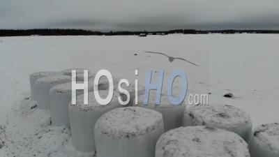 Hay Bales And Barn Houses On The Snowy Fields - Video Drone Footage