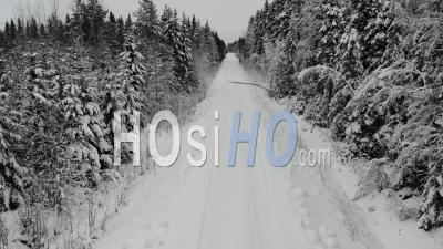 Narrow Road Through The Winter Forest - Video Drone Footage