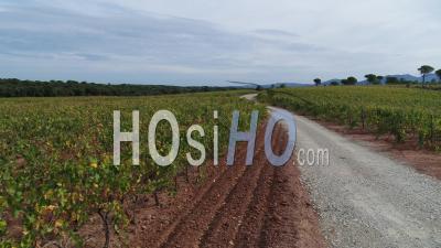 Vineyard In Pays De Fayence, Bagnols-En-Forêt, Gorges Du Blavet, Var - Video Drone Footage