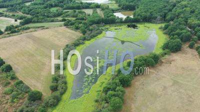 Pond Of Bièvre, Forest And Ponds Of Sologne, Loir-Et-Cher - Video Drone Footage