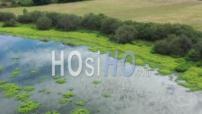 Pond Of Bièvre, Forest And Ponds Of Sologne, Loir-Et-Cher - Video Drone Footage