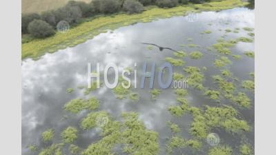 Pond Of Bièvre, Forest And Ponds Of Sologne, Loir-Et-Cher - Aerial Photography