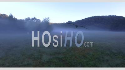 Morning Mists In Corrèze - Video Drone Footage