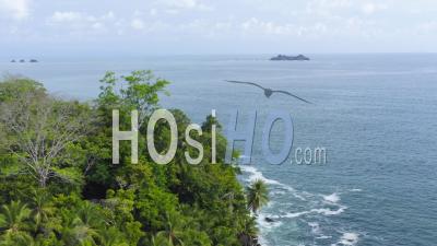 Aerial Drone View Of Rainforest On The Pacific Ocean Coast In Costa Rica, Coastal Tropical Jungle Landscape Scenery With The Sea And Beautiful Coastline, A Dramatic Seascape In Central America