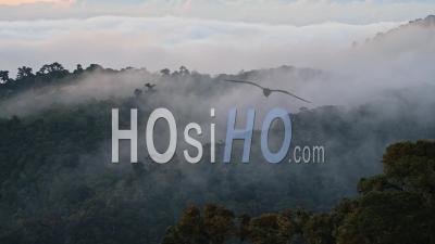 Timelapse Of Costa Rica Rainforest Landscape, Nature Time Lapse Of Misty Mountains With Clouds And Mist Moving In A Valley, Beautiful Amazing Scenery Representing Climate Change