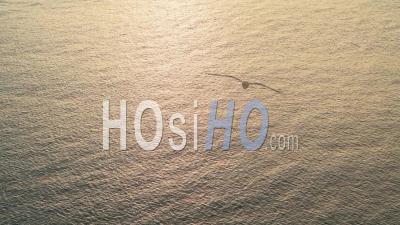 Aerial Drone View Of Calming Peaceful Orange Sunset Ocean Seascape Background Of Vast Sea With Copy Space, Calm Still Water