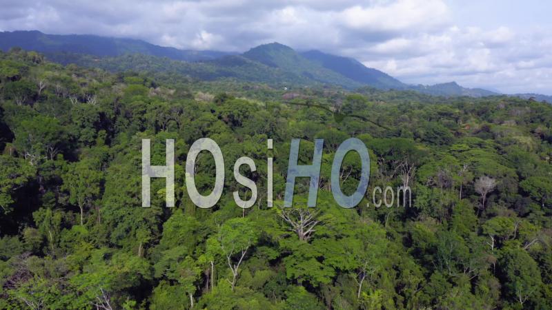 HOsiHO's Autumn Season From Above, Aerial Stock Footage & Timelapses gallery
