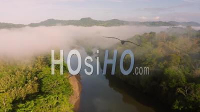 Aerial Drone View Of Costa Rica Rainforest Landscape With River And Mountains, Amazing Nature And Misty Tropical Jungle Scenery Above The Clouds And Trees In Mist, Boca Tapada
