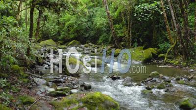 Aerial Drone View Of River In Costa Rica Rainforest Scenery, Beautiful Nature With Water Flowing Through The Jungle At Savegre, San Gerardo De Dota, Central America