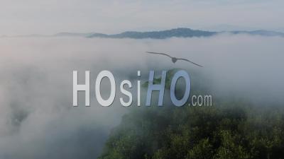 Aerial Drone View Of Costa Rica Rainforest Landscape With River And Mountains, Amazing Nature And Misty Tropical Jungle Scenery Above The Clouds And Trees In Mist, Boca Tapada
