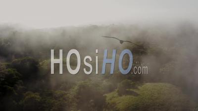 Aerial Drone Shot Flying Through Misty Rainforest Above The Clouds, Tropical Jungle Landscape High Up View Showing Area With Deforestation, About Global Warming, Climate Change And Conservation