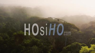 Aerial Drone Shot Above Rainforest Scenery In Costa Rica, Misty Tropical Jungle Landscape High Up Above Clouds In Amazing Dramatic Light With Atmospheric Mist At Boca Tapada In Central America