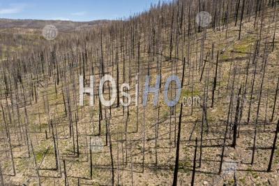 Incendie Gênant De L'est Du Colorado - Photographie Aérienne