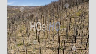 Incendie Gênant De L'est Du Colorado - Photographie Aérienne