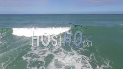 Surfeurs Sur L'océan, Plage De Lacanau, Vidéo Drone