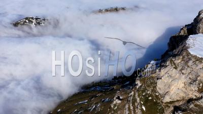 Sea Of Clouds On Chartreuse Alps - Video Drone Footage