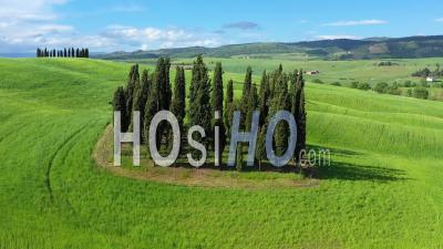 Italy, Tuscany, Val D'orcia, Siena Province, Cypress Trees Near San Quirico - Video Drone Footage