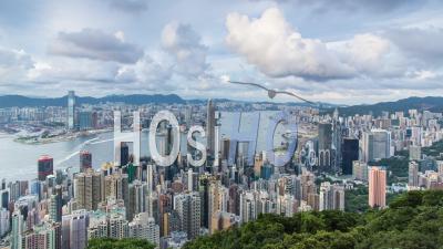 Toits De La Ville Et Le Port De Victoria Vu De Victoria Peak, Hong Kong, Chine