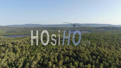 Solar Panel Farm Integrated Into Nature, Drone Aerial Footage