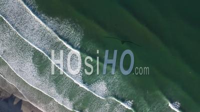 Windsurfers On Ocean - Video Drone Footage