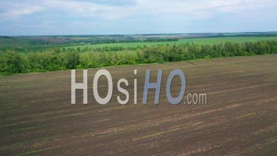 2022 - High Aerial Over Green Farm Fields, Grass And Agriculture Crops Growing In Ukraine Suggests Ukrainian Landscape - Video Drone Footage