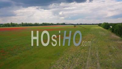 2022 - Impressionistic Aerial Over Ukraine Fields With Wildflowers Growing Suggests Ukrainian Agriculture And Landscape - Video Drone Footage