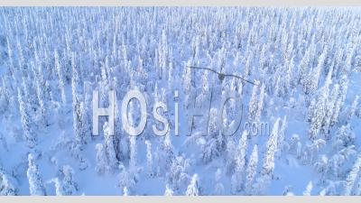 Vue Aérienne Montre Une Forêt De Pins Couverts De Neige En Suède - Vidéo Par Drone