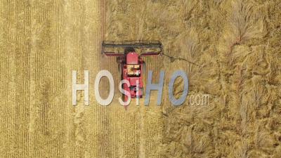 2020 - An Excellent Overhead Shot Of A Farming Combine Cutting Through A Field In Parkes, New South Wales, Australia - Video Drone Footage