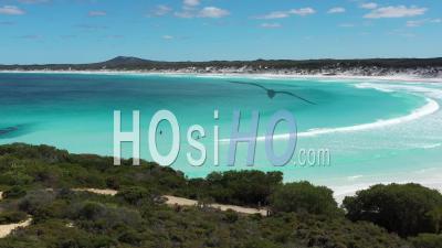 2020 - Vue Aérienne De Surfeurs Pataugeant Dans Les Eaux De Wharton Bay, Esperance, Australie - Vidéo Par Drone