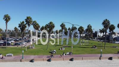 Aerial Of People Riding Bicycles And Walking In Park Through Palm Trees At Mission Point Park, San Diego, California - Video Drone Footage