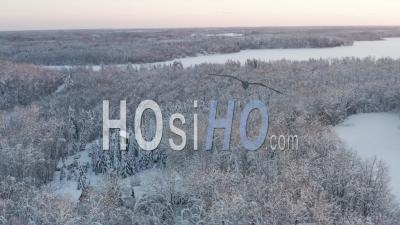 Snow-Covered Cabin In Forest At Sunset, Minnesota, Usa - Video Drone Footage