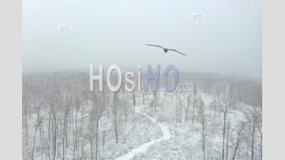 A Path Through Snow-Covered Trees, Wisconsin, Usa - Aerial Photography