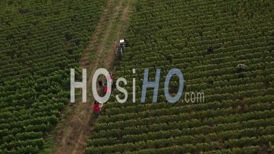  Récolte à Epernay, France - Vidéo Drone