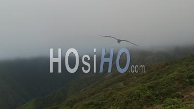 Lush Mountains In The Clouds, Maui, Hawaii - Video Drone Footage