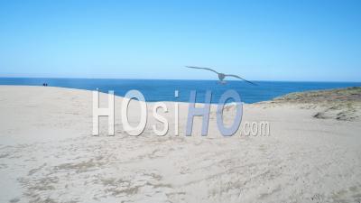 Japan - Tottori Sand Dunes, , Video Drone Footage