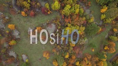 Mountain Forest In Autumn (vallon De L'onde, On The Edge Of The Ecrins National Park) Hautes-Alpes, Viewed From Drone