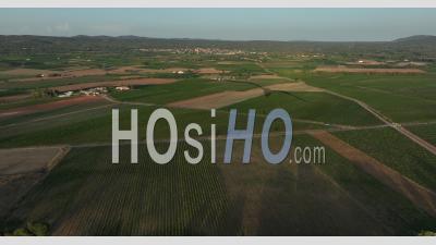 Aix Country, Puyloubier, Vineyard, Aoc Cote De Provence Sainte Victoire, Bouches Du Rhone, France - Video Drone Footage