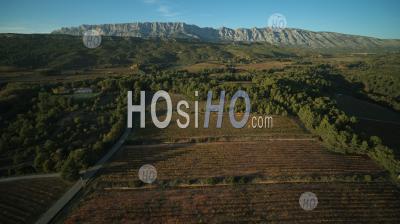 Vineyard In Autumn, Aoc Cotes De Provence, Pays D'aix, Grand Site Sainte Victoire, Puyloubier, Bouches Du Rhone, France - Aerial Photography
