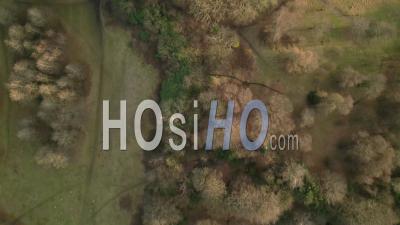Arbres Et Jardins Familiaux Dans Queens Park, Dans Le Sud De Glasgow Au Printemps - Vidéo Par Drone