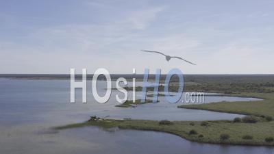 Vidéo Par Drone De Carcans Maubuisson, Le Lac, Les Cabanes Des Pêcheurs
