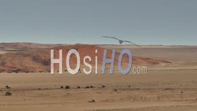 Route C27 Vers Sossusvlei, À Proximité Du Parc Namib Naukluft, Sesriem, Namibie - Vidéo Par Drone