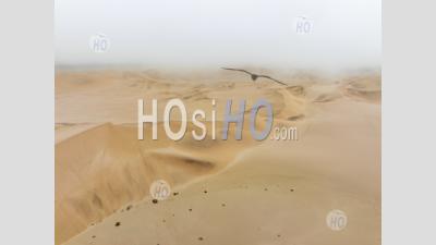 Dune 7, A Group On Sand Dunes In Walvis Bay, Namibia - Aerial Photography