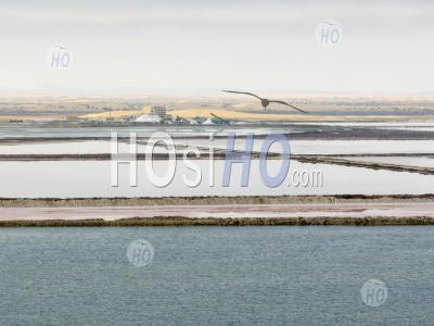 Salt Marshes And Factory By A Cloudy Day, Walvis Bay, Namibia - Aerial Photography
