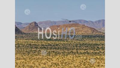 Desert Landscape With Ed Granite Hills Around The Brandberg Mountain, Nearby Uis City, Namibia - Aerial Photography