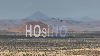 Paysage Désertique Avec Des Collines De Granite Ed Autour De La Montagne Brandberg, À Proximité De La Ville D'uis, Namibie - Vidéo Par Drone