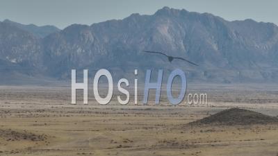 Desert Landscape Around The Brandberg Mountain, Nearby Uis City, Namibia - Video Drone Footage
