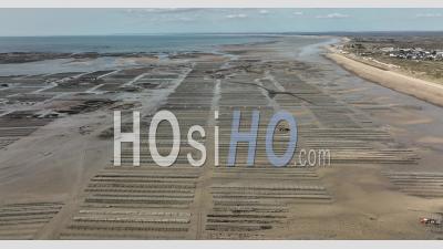 Parcs à Huîtres à Marée Basse En Normandie - Vidéo Par Drone