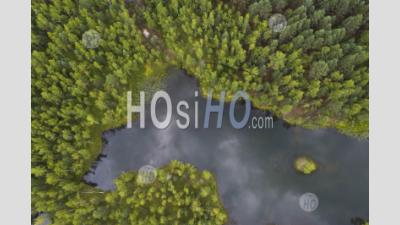 Small Forest Lake With Blue Water. Aerial View. Shot From Drone.