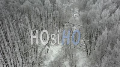 Voler Au-Dessus Des Arbres Couverts De Neige Dans La Forêt D'hiver - Vidéo Par Drone